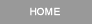 Home button