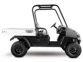 Club Car golf buggies