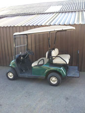 Ezgo Rxv Petrol Shuttle 2+2