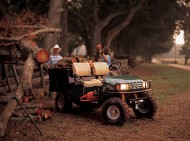EZGO ST 350 vehicle