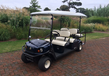 Golf buggies for Royal Botanic Gardens Kew supplied by Motorculture Limited