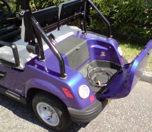 Tomberlin golf buggies