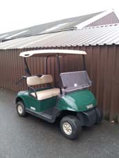 Clubcar Precedent Electric