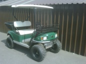 Customised Ezgo Petrol