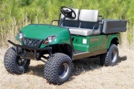 Yamaha U-Max 4-Stroke Utility Vehicle